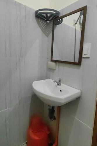 summer wind pension house el nido