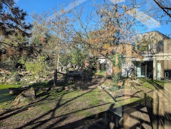 night experience by zoo bordeaux pessac