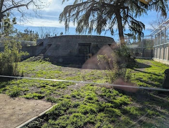 night experience by zoo bordeaux pessac