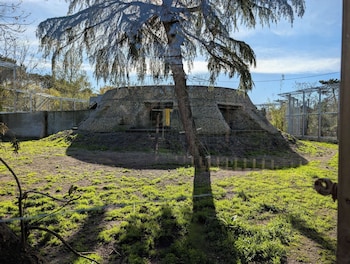 night experience by zoo bordeaux pessac