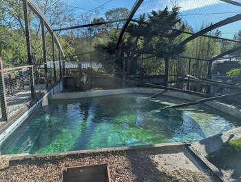 night experience by zoo bordeaux pessac