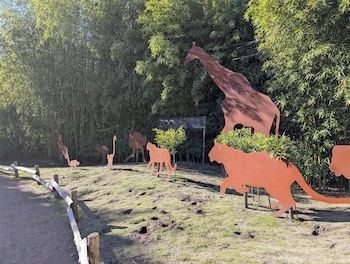 night experience by zoo bordeaux pessac