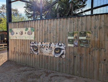 night experience by zoo bordeaux pessac