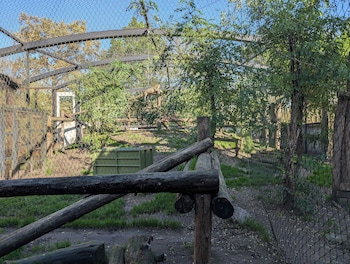 night experience by zoo bordeaux pessac