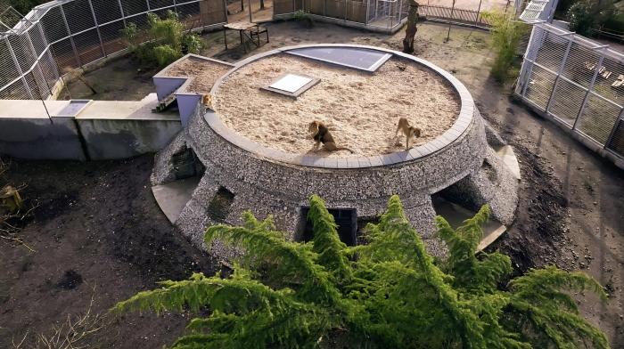 night experience by zoo bordeaux pessac