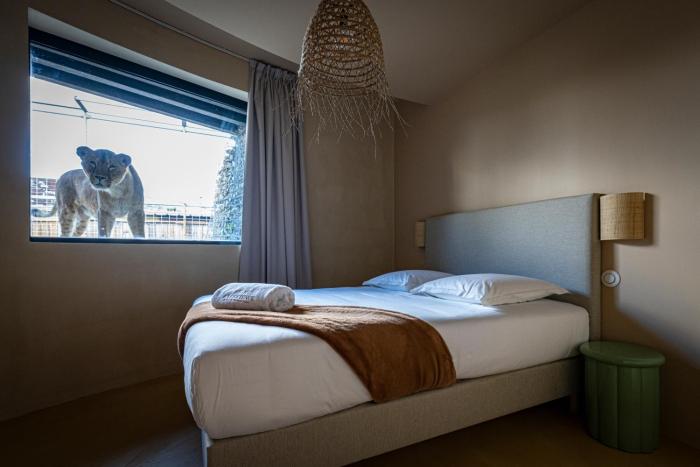 night experience by zoo bordeaux pessac