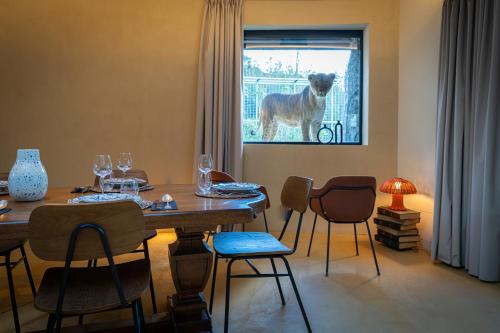 night experience by zoo bordeaux pessac