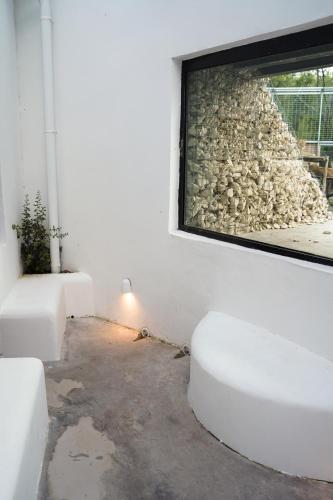 night experience by zoo bordeaux pessac