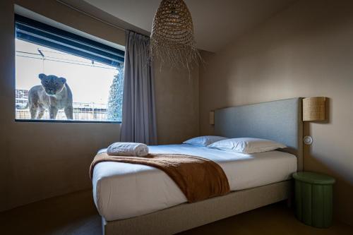 night experience by zoo bordeaux pessac