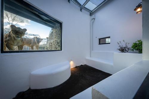 night experience by zoo bordeaux pessac