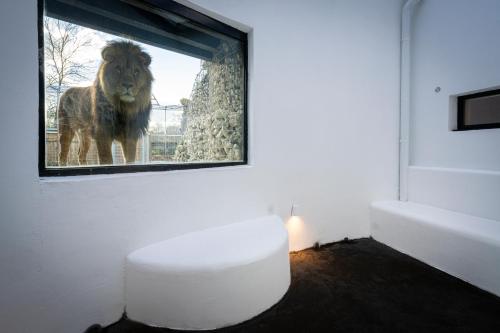 night experience by zoo bordeaux pessac