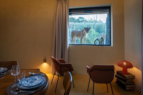 night experience by zoo bordeaux pessac