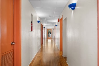blue flamingo suites