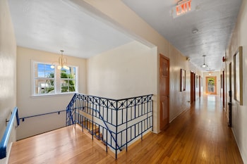 blue flamingo suites