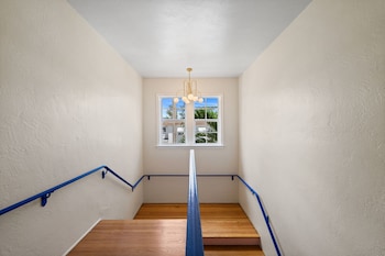 blue flamingo suites