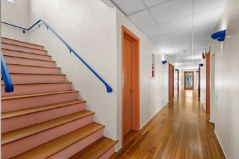 blue flamingo suites