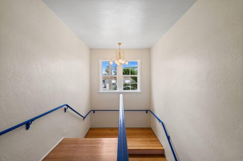 blue flamingo suites