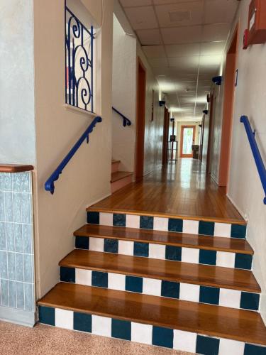 blue flamingo suites