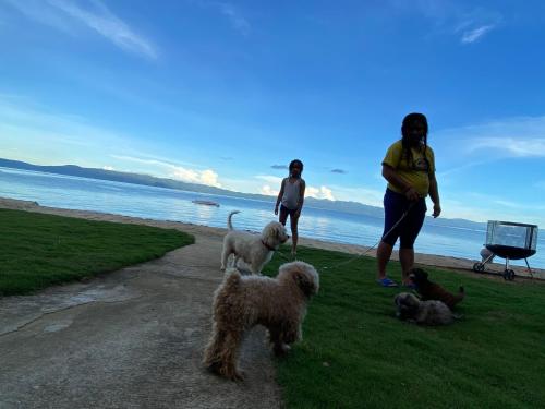 rio beach resort