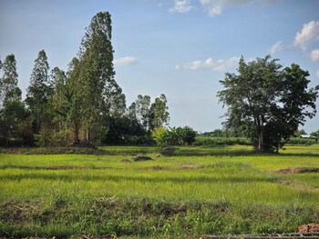 the garden resort