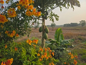 the garden resort
