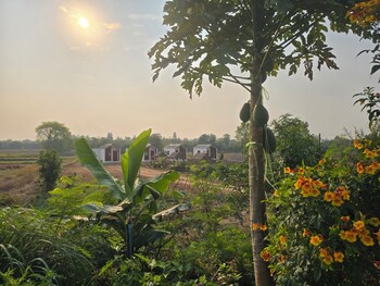 the garden resort