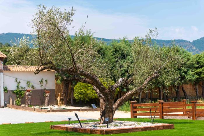 finca avellaneda