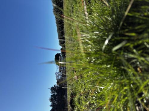 finca avellaneda