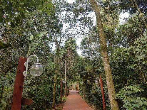 don horacio hotel selvatico