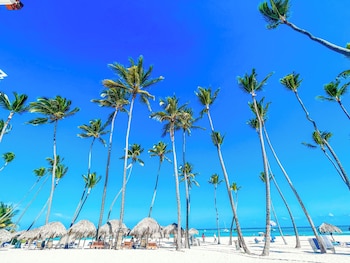 mini beach studios