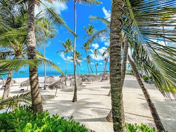 mini beach studios