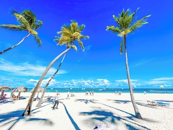 mini beach studios