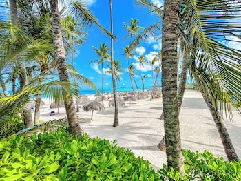 mini studios beach