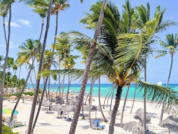 mini studios beach