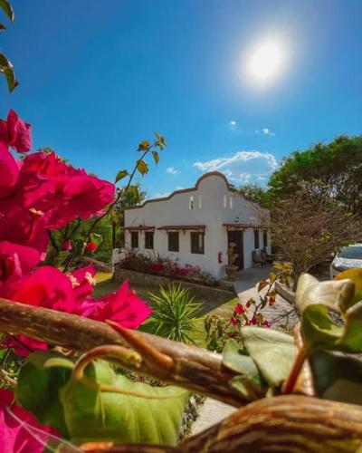 yolihuani relax resort