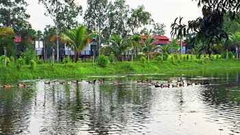 turag waterfront resort kaliakair