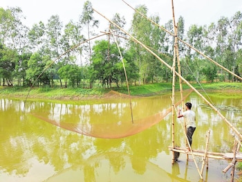 kaliakair