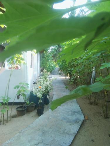 fr resort