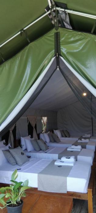radiance ella urban camping