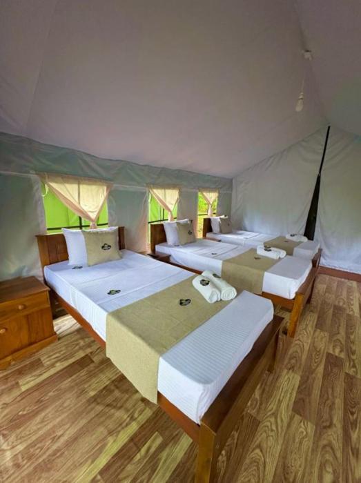 radiance ella urban camping