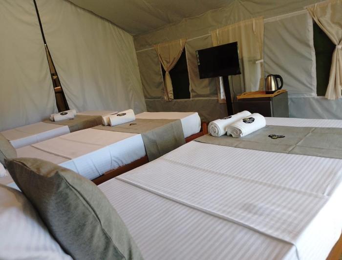 radiance ella urban camping
