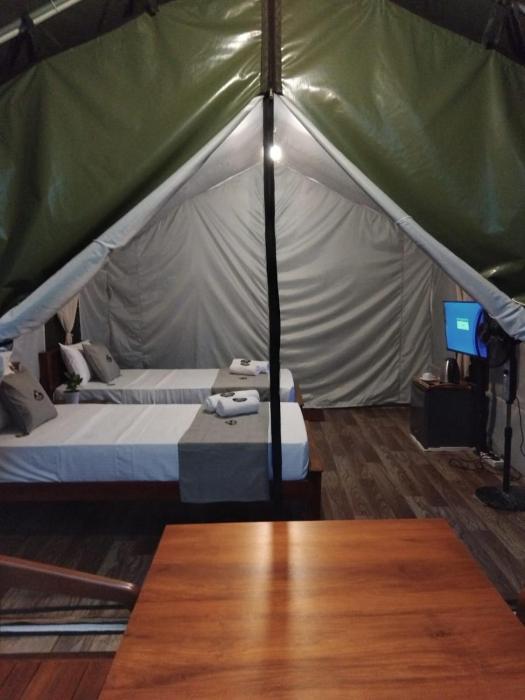radiance ella urban camping
