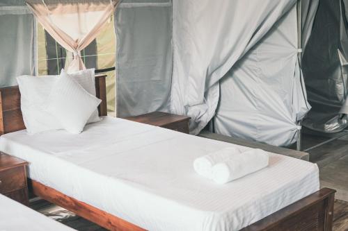 radiance ella urban camping