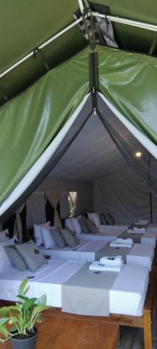 radiance ella urban camping