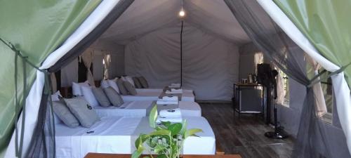 radiance ella urban camping
