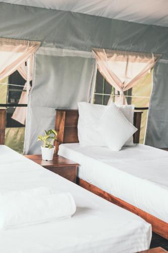 radiance ella urban camping