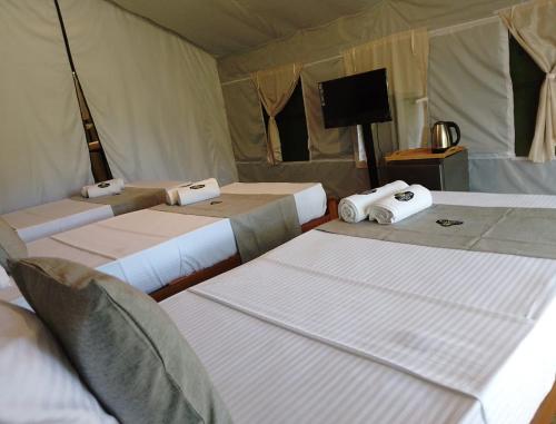 radiance ella urban camping