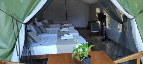 radiance ella urban camping