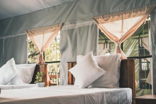 radiance ella urban camping