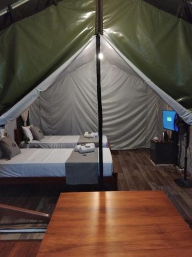 radiance ella urban camping